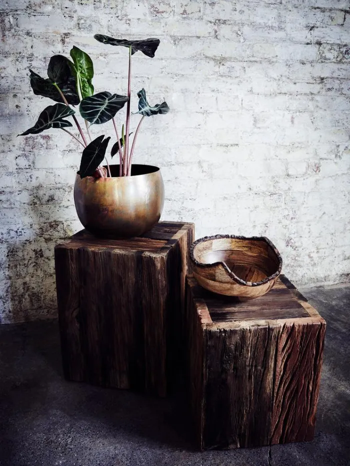 French Connection Home Accessories Dikita Mango Wood Bowl Natural 8211 Home