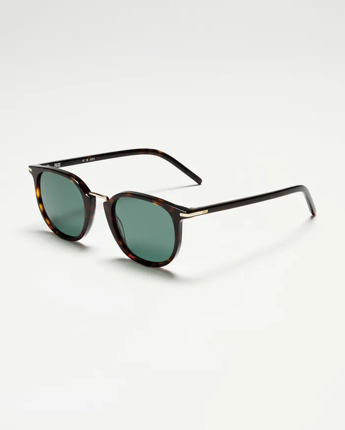 PAIGE Adam Sunglasses 8211 Tortoise Women Shop Sunglasses