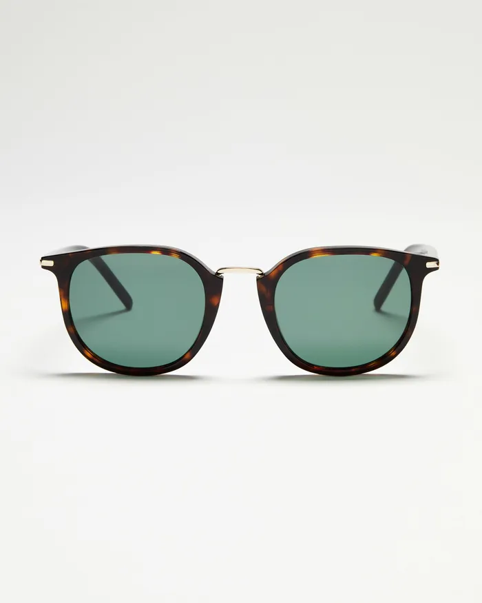 PAIGE Adam Sunglasses 8211 Tortoise Women Shop Sunglasses