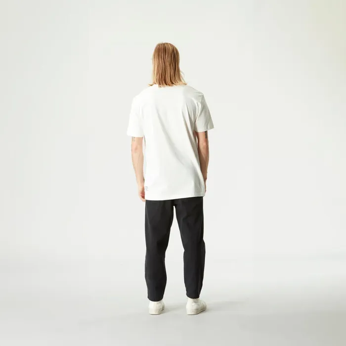Picture Organic Clothing DandS Dogtravel Tee Men TShirts Picture Organic Clothing DandS Dogtravel Tee Men TShirts