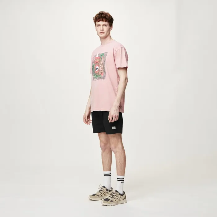 Picture Organic Clothing Daverson Shorts Men Shorts