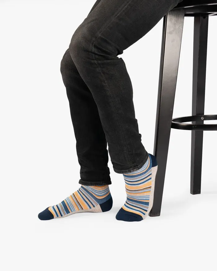 Socks Men Floris Van Bommel De Sokker 1301 Other