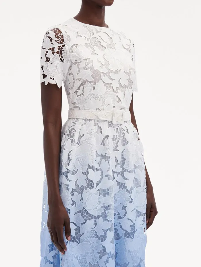 Women Oscar De La Renta Dresses Ombr Peony Guipure Dress Soft Blue Women Oscar De La Renta Dresses Ombr Peony Guipure Dress Soft Blue
